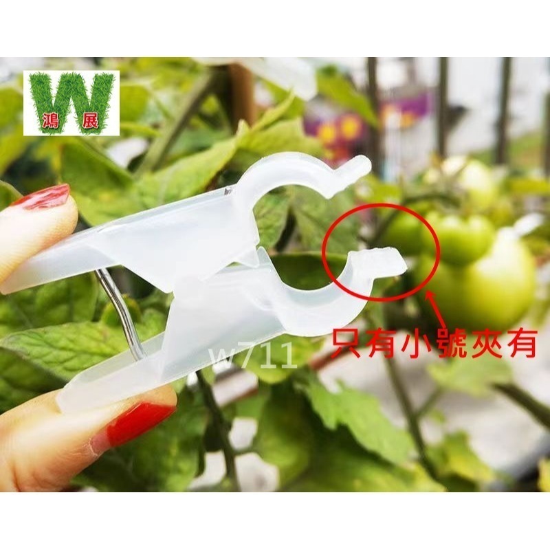 綁蔓夾 植物夾 番茄夾 綁藤夾 綁枝夾 藤蔓夾 黃瓜夾 夾子 w711鴻展-細節圖8