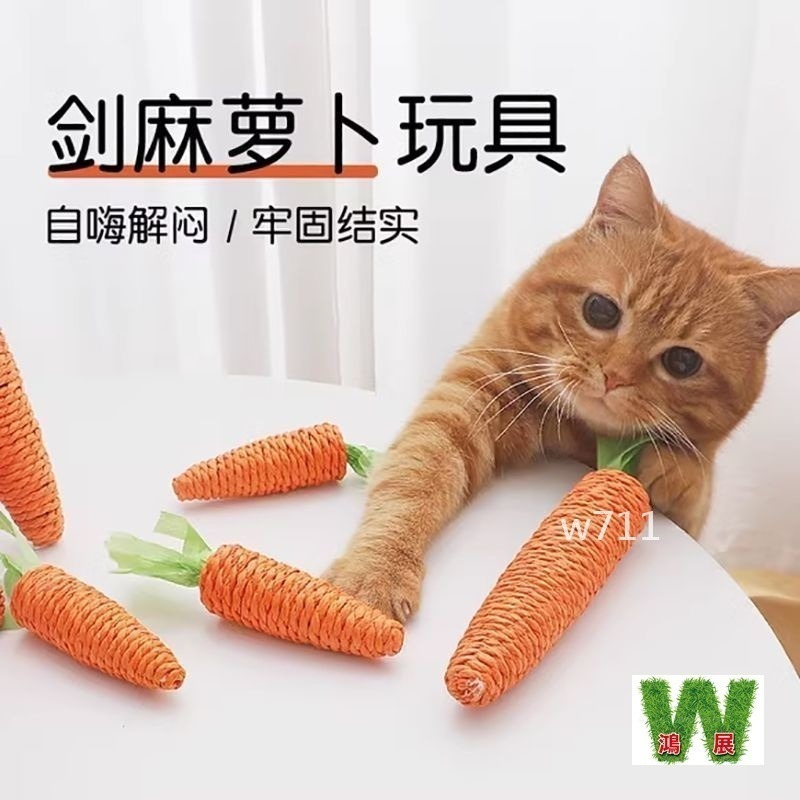 <現貨+發票>w711鴻展 貓咪 紅蘿蔔造型 磨牙棒 耐咬棒 貓抓棒 逗貓棒 自嗨解悶 幼貓 寵物 用品-細節圖2