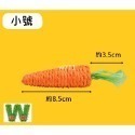 <現貨+發票>w711鴻展 貓咪 紅蘿蔔造型 磨牙棒 耐咬棒 貓抓棒 逗貓棒 自嗨解悶 幼貓 寵物 用品-規格圖6