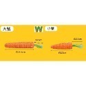 <現貨+發票>w711鴻展 貓咪 紅蘿蔔造型 磨牙棒 耐咬棒 貓抓棒 逗貓棒 自嗨解悶 幼貓 寵物 用品-規格圖6