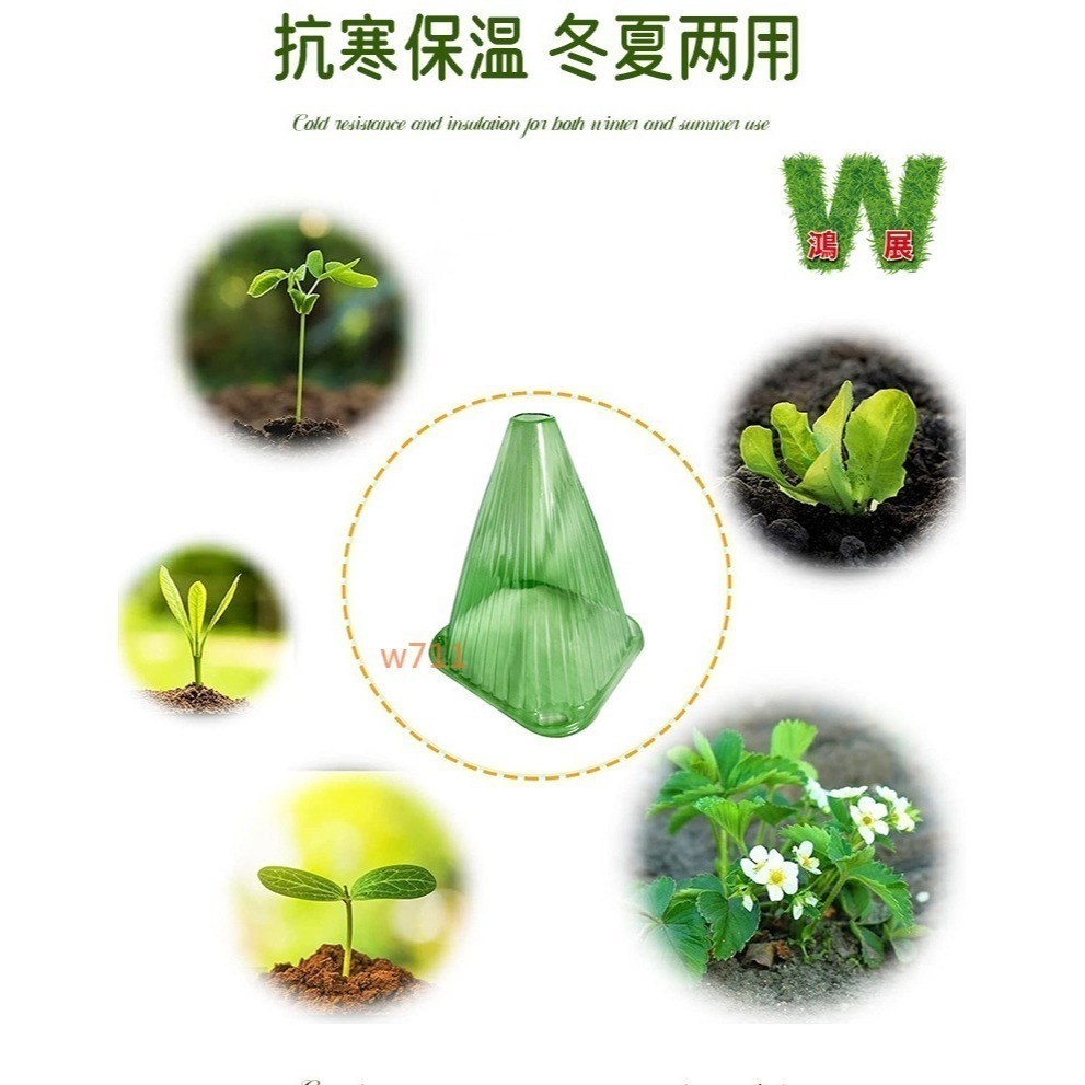 w711鴻展 植物罩 保護罩 透明罩 植物 作物 種菜 育苗 防蟲 防雨 防凍 防風 鐘罩 防鳥 花園 植物蓋 抗寒 保-細節圖3