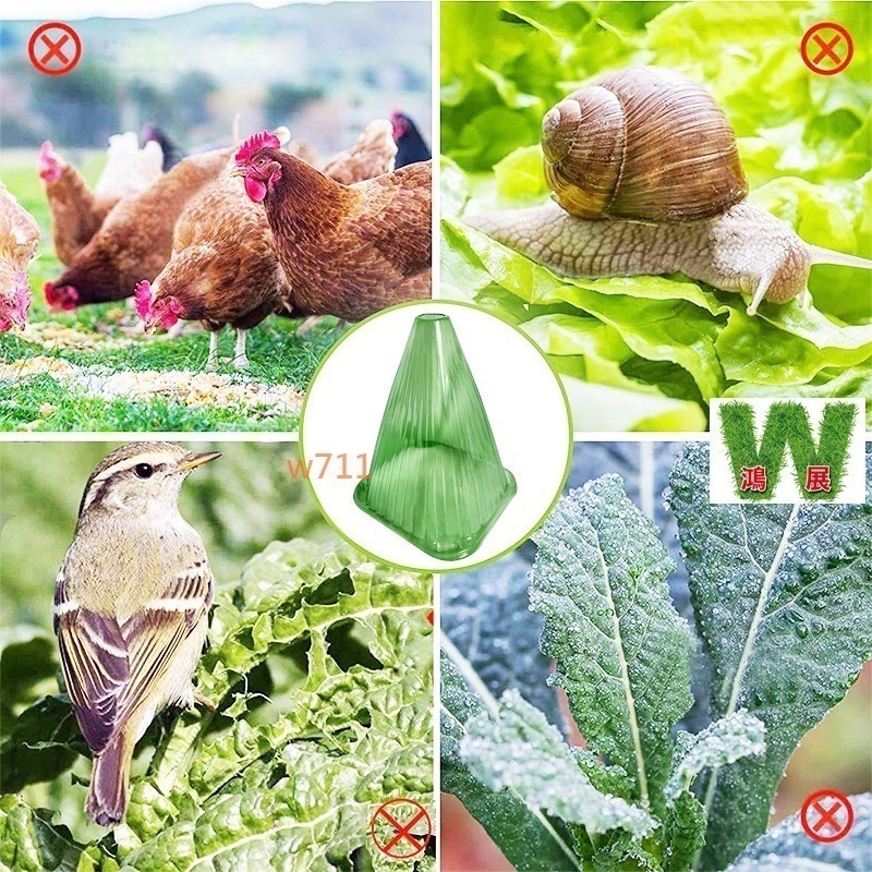 w711鴻展 植物罩 保護罩 透明罩 植物 作物 種菜 育苗 防蟲 防雨 防凍 防風 鐘罩 防鳥 花園 植物蓋 抗寒 保-細節圖5
