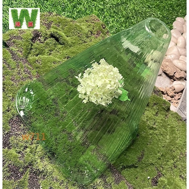 w711鴻展 植物罩 保護罩 透明罩 植物 作物 種菜 育苗 防蟲 防雨 防凍 防風 鐘罩 防鳥 花園 植物蓋 抗寒 保-細節圖6