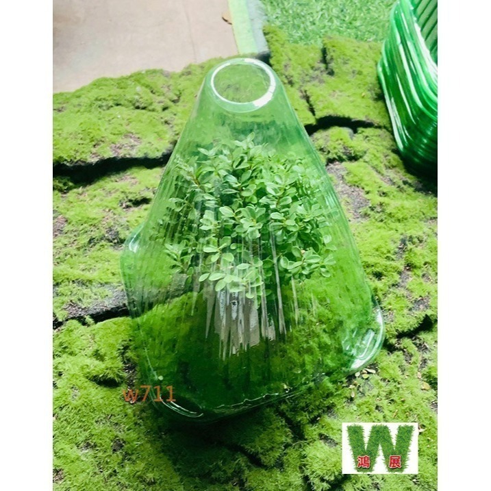 w711鴻展 植物罩 保護罩 透明罩 植物 作物 種菜 育苗 防蟲 防雨 防凍 防風 鐘罩 防鳥 花園 植物蓋 抗寒 保-細節圖9