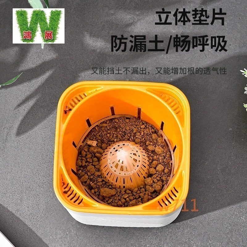 w711鴻展 防爛根 蘭花盆 瀝水罩 防爛濾水罩 疏水罩 漏水 通風 透氣罩 瀝水網 錐形 火山形 防漏 網罩 定植 種-細節圖8