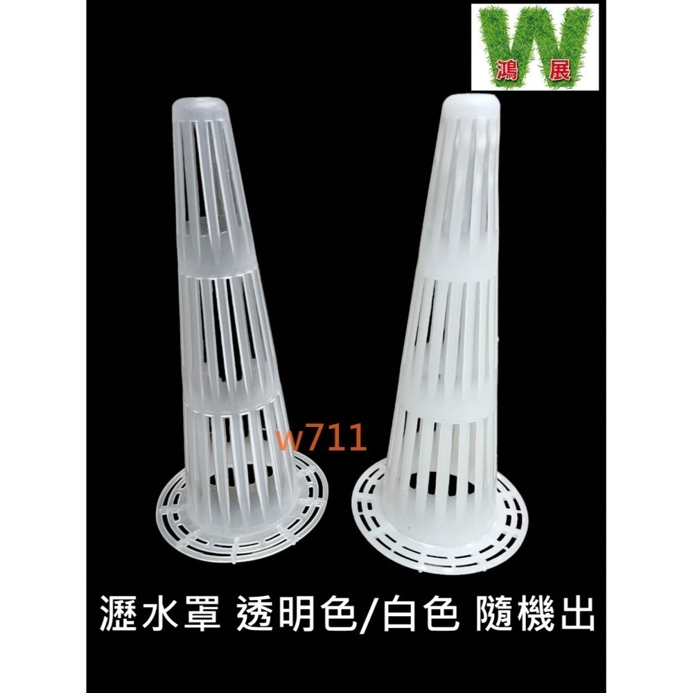 w711鴻展 防爛根 蘭花盆 瀝水罩 防爛濾水罩 疏水罩 漏水 通風 透氣罩 瀝水網 錐形 火山形 防漏 網罩 定植 種-細節圖10