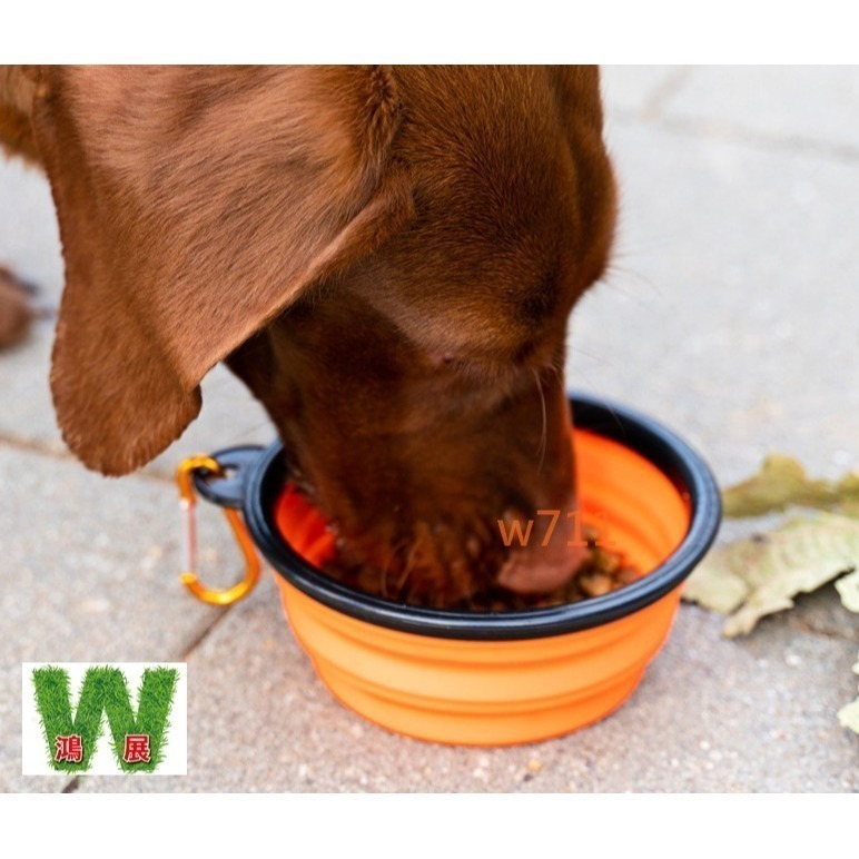 w711鴻展 貓狗 狗狗 摺疊碗 狗碗 貓碗 碗食盆 飲水碗 寵物 玩具 外出 戶外 攜帶 Meianju-細節圖2