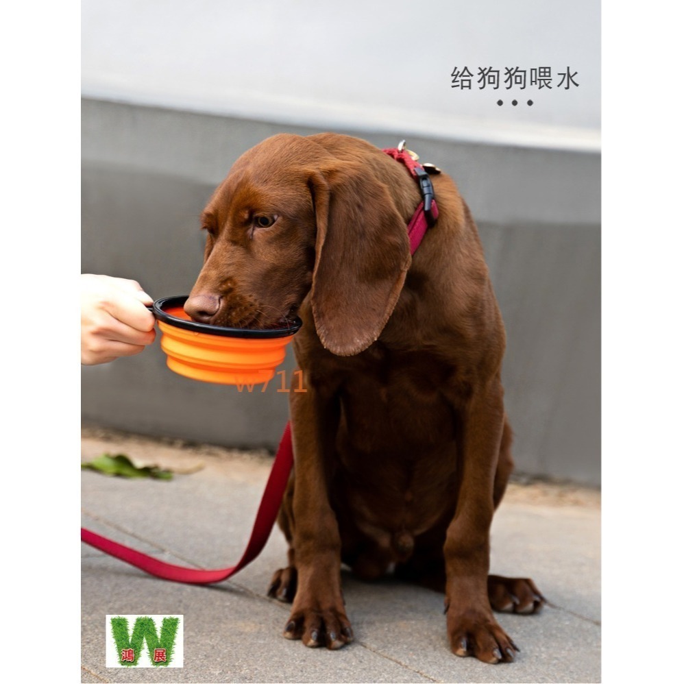 w711鴻展 貓狗 狗狗 摺疊碗 狗碗 貓碗 碗食盆 飲水碗 寵物 玩具 外出 戶外 攜帶 Meianju-細節圖7