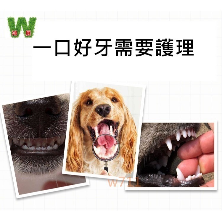 w711鴻展 貓狗牙刷 狗狗牙刷 寵物 雙頭牙刷 狗狗 貓咪 口腔 清潔 狗牙刷尼龍絲 貓牙刷 寵物用品-細節圖6