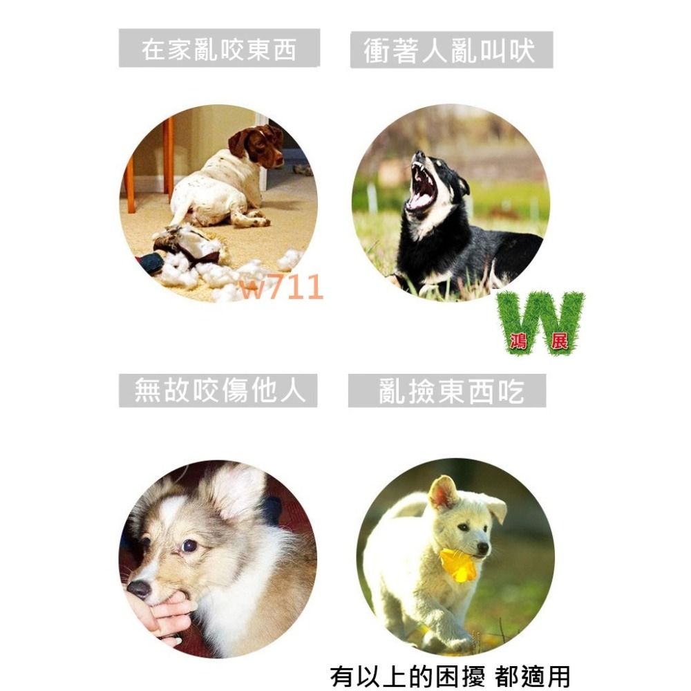 w711鴻展 寵物 狗嘴套 矽膠口罩 狗狗 鴨嘴套 防咬 防叫 防亂吃 狗嘴罩-細節圖4