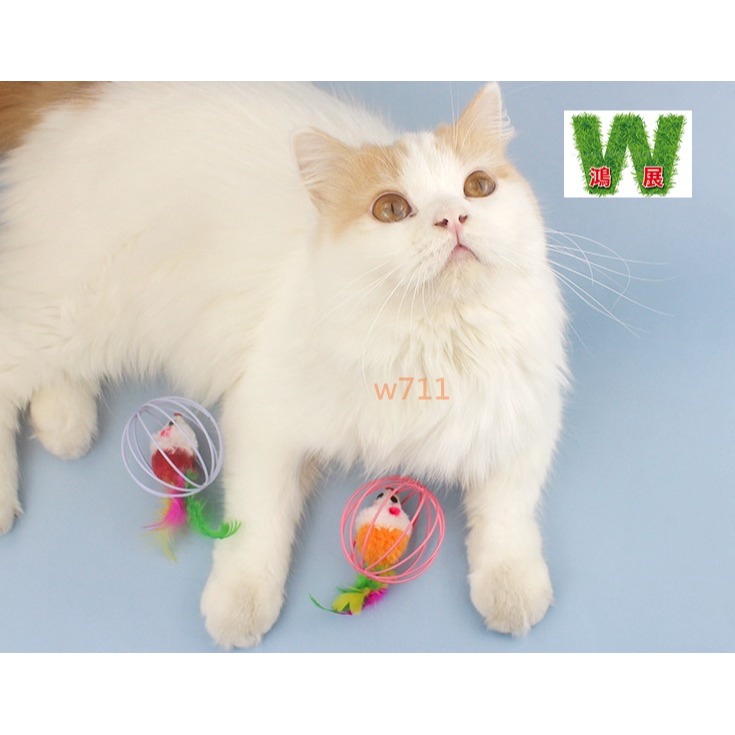 w711鴻展 貓玩具 籠中鼠 逗貓 自嗨 寵物 玩具 互動 貓咪 寵物 毛絨 老鼠貓玩具-細節圖2