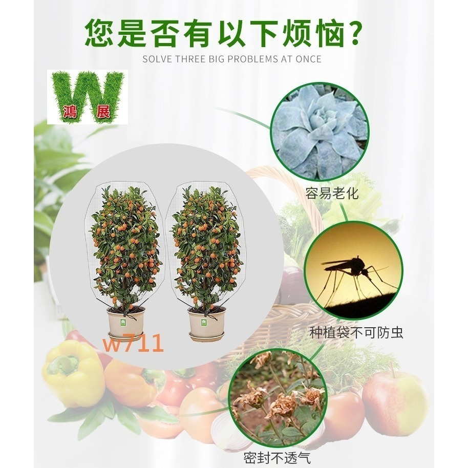 w711鴻展 防鳥罩 防蟲網 防鳥網 植物 防蟲網罩 樹網 無花果樹網 盆栽果樹網 紗袋 尼龍帶束繩-細節圖4