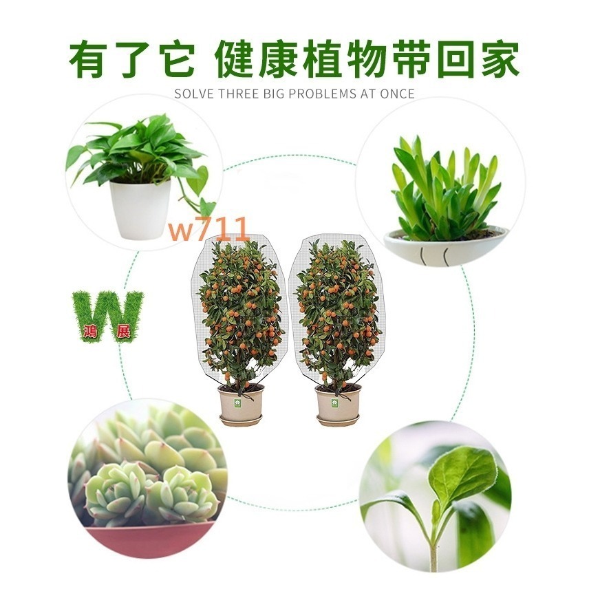 w711鴻展 防鳥罩 防蟲網 防鳥網 植物 防蟲網罩 樹網 無花果樹網 盆栽果樹網 紗袋 尼龍帶束繩-細節圖5