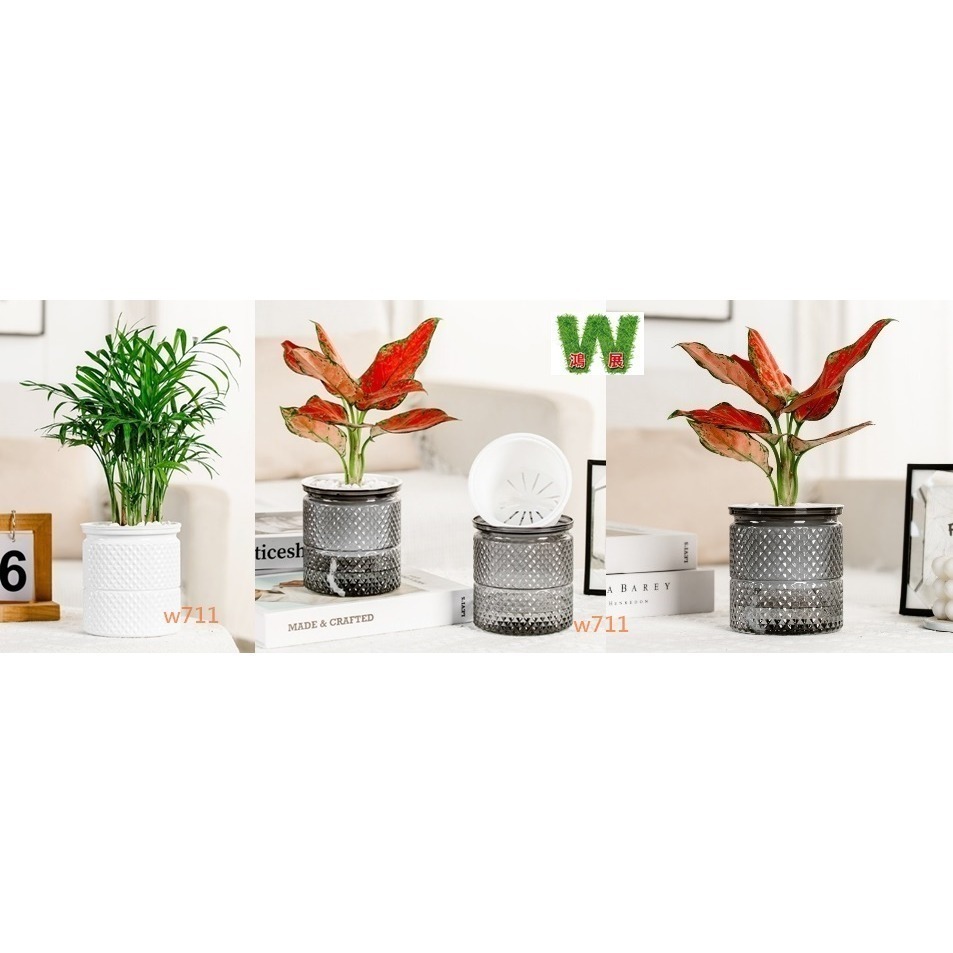 w711鴻展 土培 水培 自動吸水 直筒繁星款 透明款 圓型 花盆 花瓶 北歐風 仿玻璃透明度 綠植 種植 植物-細節圖2