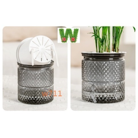 w711鴻展 土培 水培 自動吸水 直筒繁星款 透明款 圓型 花盆 花瓶 北歐風 仿玻璃透明度 綠植 種植 植物-細節圖3