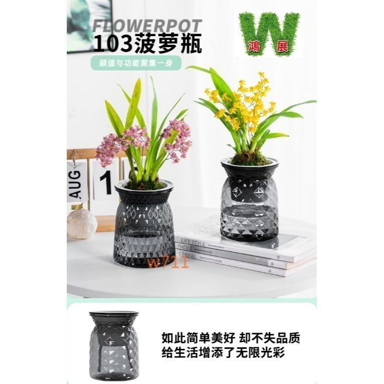 w711鴻展 土培 水培 自動吸水 直筒繁星款 透明款 圓型 花盆 花瓶 北歐風 仿玻璃透明度 綠植 種植 植物-細節圖5