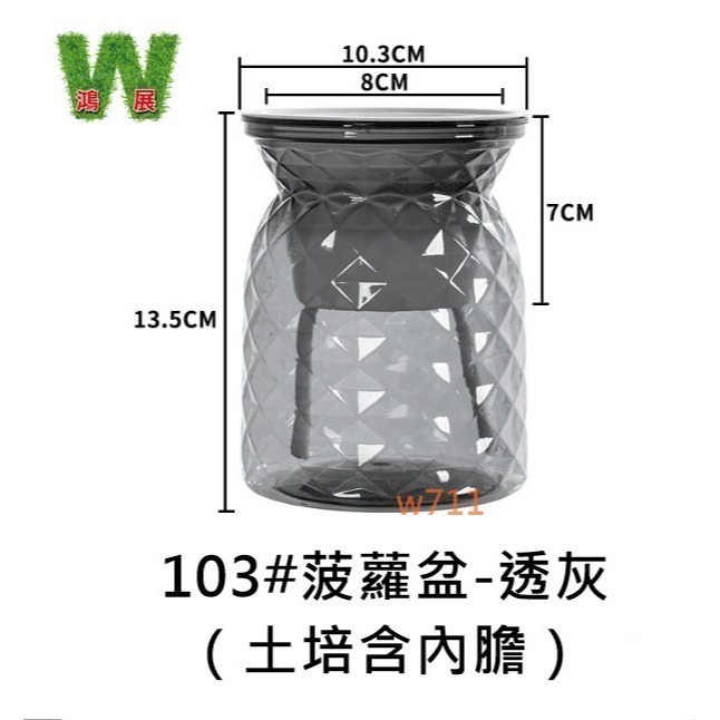 w711鴻展 土培 水培 自動吸水 直筒繁星款 透明款 圓型 花盆 花瓶 北歐風 仿玻璃透明度 綠植 種植 植物-規格圖8