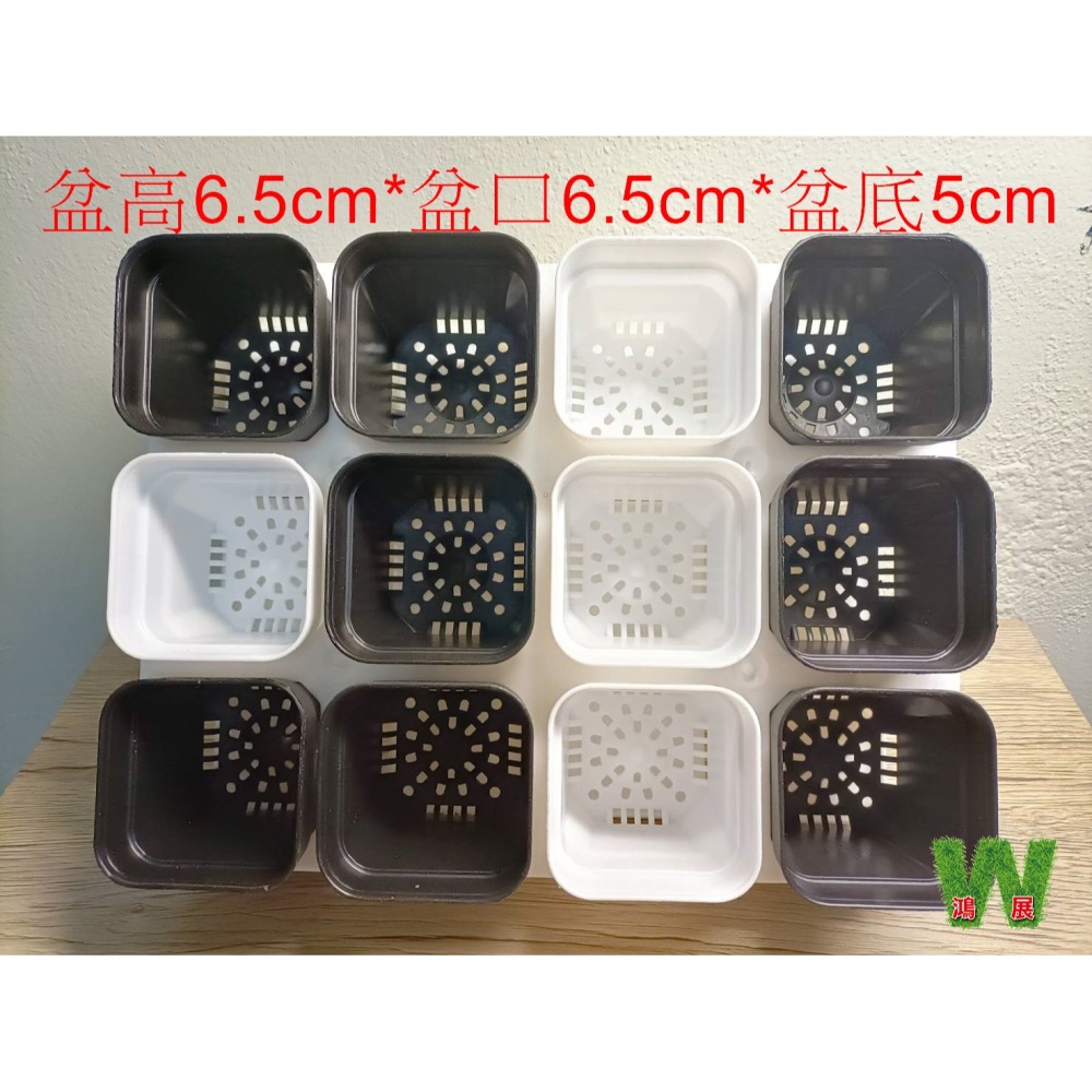w711鴻展 多肉 方盆 育苗 多種尺寸 小盆景 多肉育苗 種植 塑膠花盆 多肉種植 黑方盆 白方盆 托盤 托架 方盆架-細節圖5