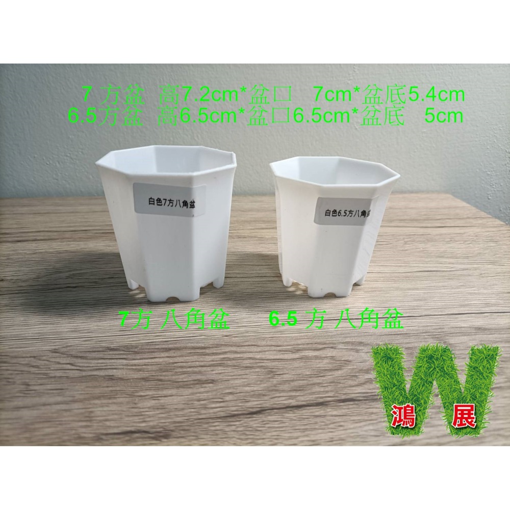 w711鴻展 多肉 方盆 育苗 多種尺寸 小盆景 多肉育苗 種植 塑膠花盆 多肉種植 黑方盆 白方盆 托盤 托架 方盆架-細節圖8