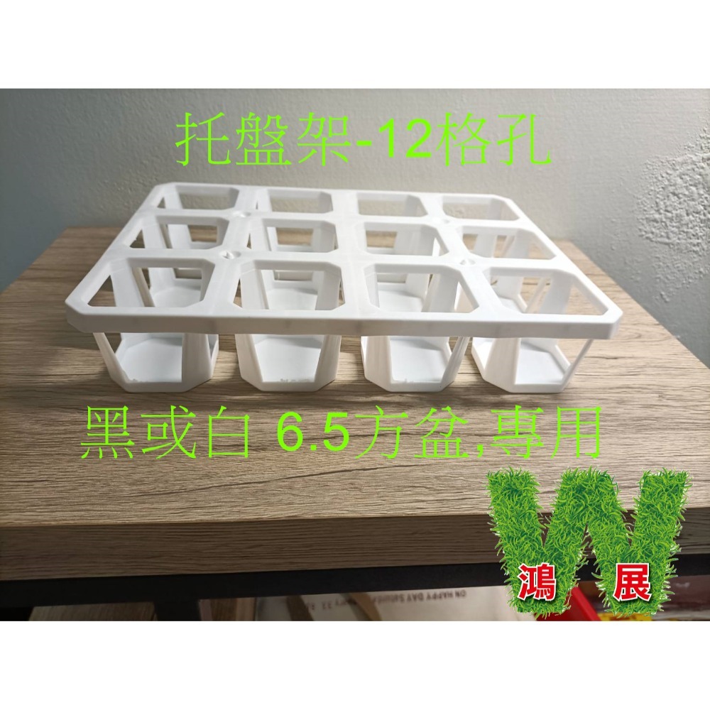 w711鴻展 多肉 方盆 育苗 多種尺寸 小盆景 多肉育苗 種植 塑膠花盆 多肉種植 黑方盆 白方盆 托盤 托架 方盆架-規格圖8