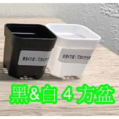 小盆栽-黑色4方盆