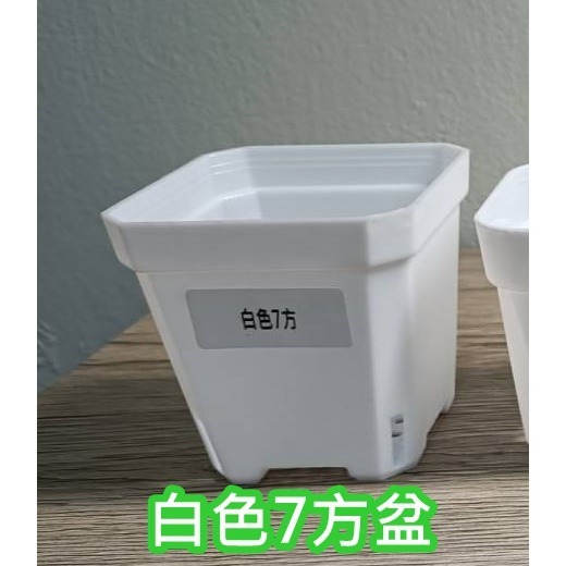 w711鴻展 多肉 方盆 育苗 多種尺寸 小盆景 多肉育苗 種植 塑膠花盆 多肉種植 黑方盆 白方盆 托盤 托架 方盆架-規格圖8