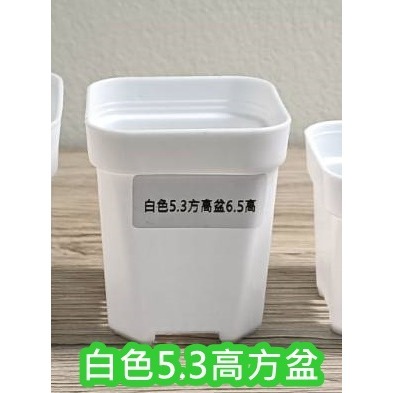小盆栽-白色5.3高方盆