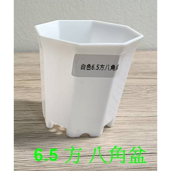 w711鴻展 多肉 方盆 育苗 多種尺寸 小盆景 多肉育苗 種植 塑膠花盆 多肉種植 黑方盆 白方盆 托盤 托架 方盆架-規格圖8
