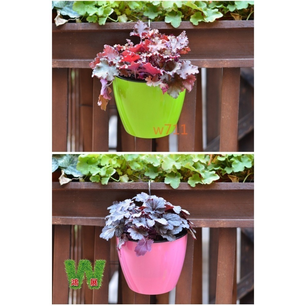 w711鴻展 半圓型 花牆 掛盆 自動吸水 防風盆 草莓花盆 大花盆 多肉 綠植 盆栽 花架 花器 園藝造景 掛盆 防風-細節圖4
