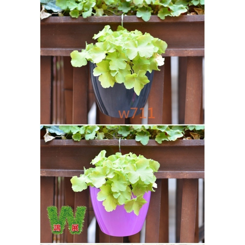 w711鴻展 半圓型 花牆 掛盆 自動吸水 防風盆 草莓花盆 大花盆 多肉 綠植 盆栽 花架 花器 園藝造景 掛盆 防風-細節圖5