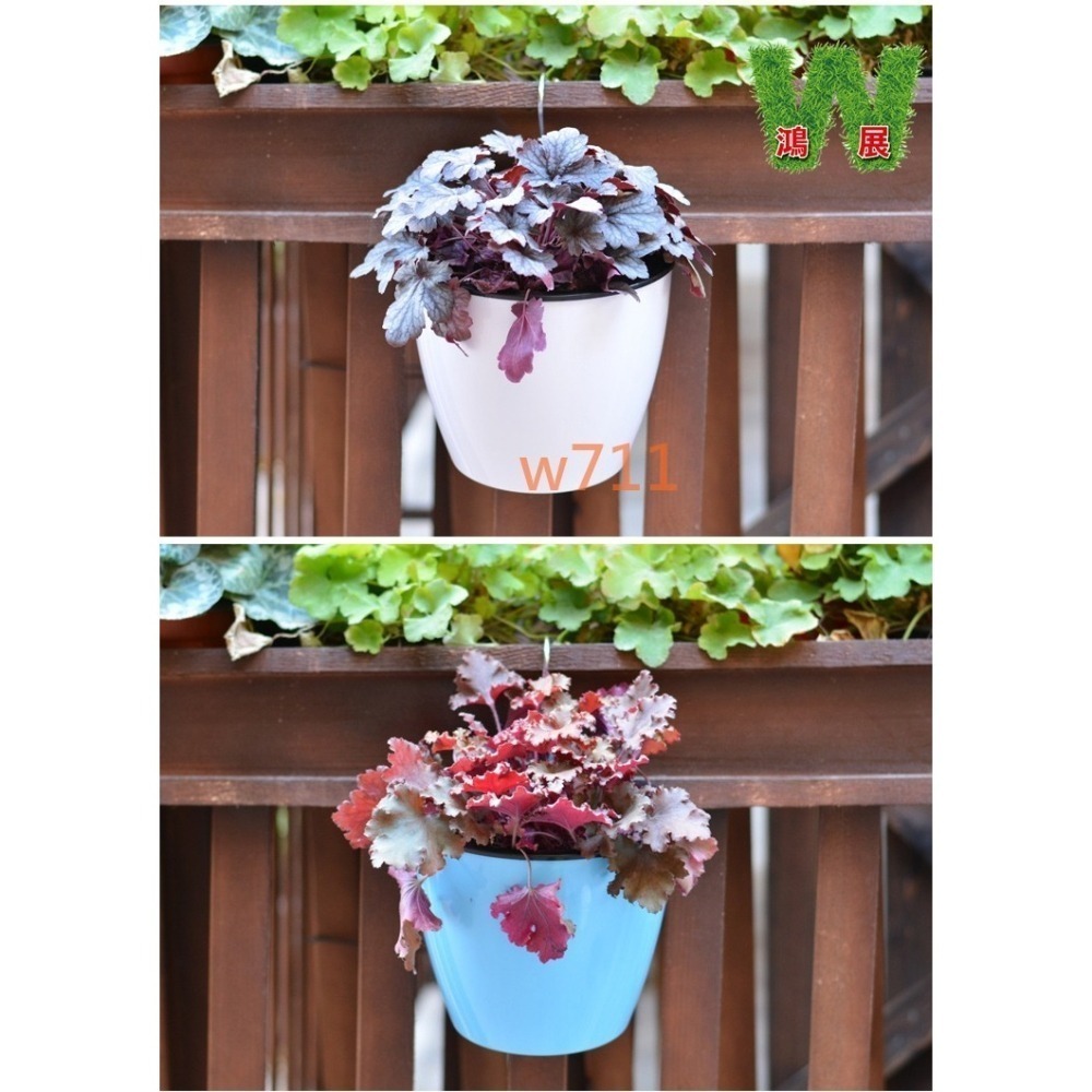 w711鴻展 半圓型 花牆 掛盆 自動吸水 防風盆 草莓花盆 大花盆 多肉 綠植 盆栽 花架 花器 園藝造景 掛盆 防風-細節圖6