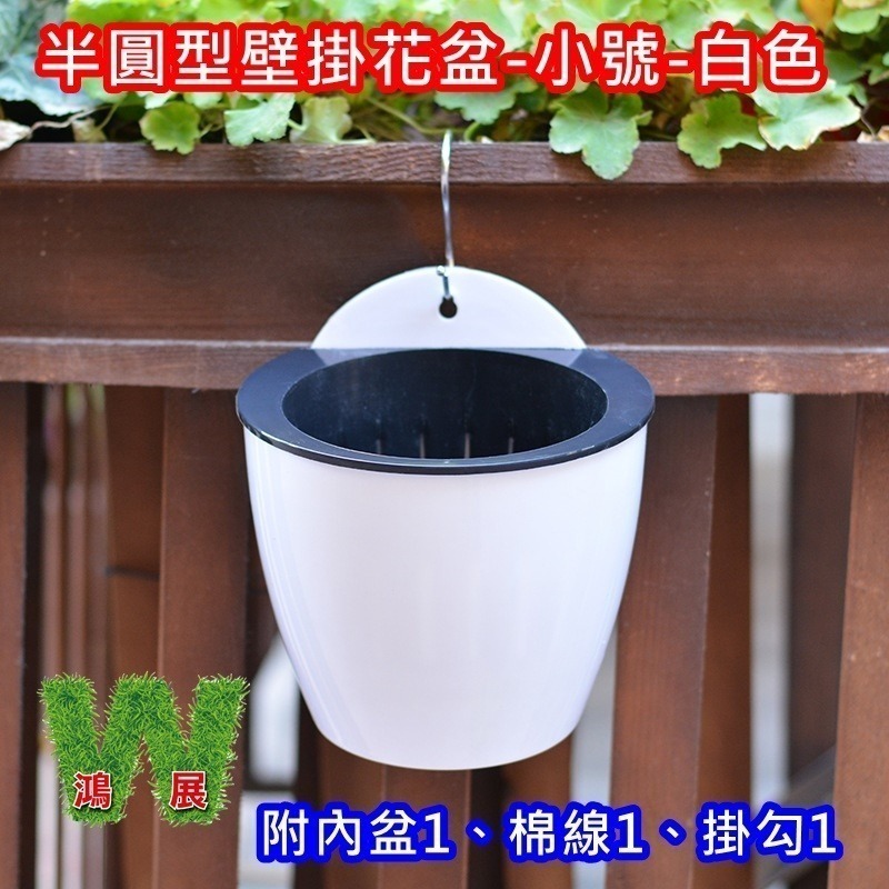 半圓型壁掛花盆-小號-白色(組)
