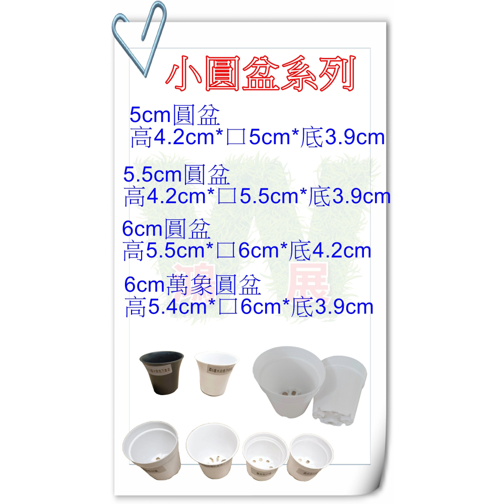 w711鴻展 多肉 圓盆 育苗 多種尺寸 小盆景 多肉育苗 種植 塑膠花盆 多肉種植 黑圓盆 白圓盆 托盤 托架 圓盆架-細節圖2