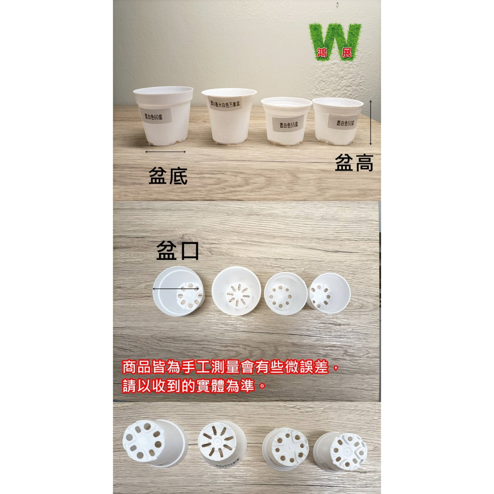 w711鴻展 多肉 圓盆 育苗 多種尺寸 小盆景 多肉育苗 種植 塑膠花盆 多肉種植 黑圓盆 白圓盆 托盤 托架 圓盆架-細節圖3