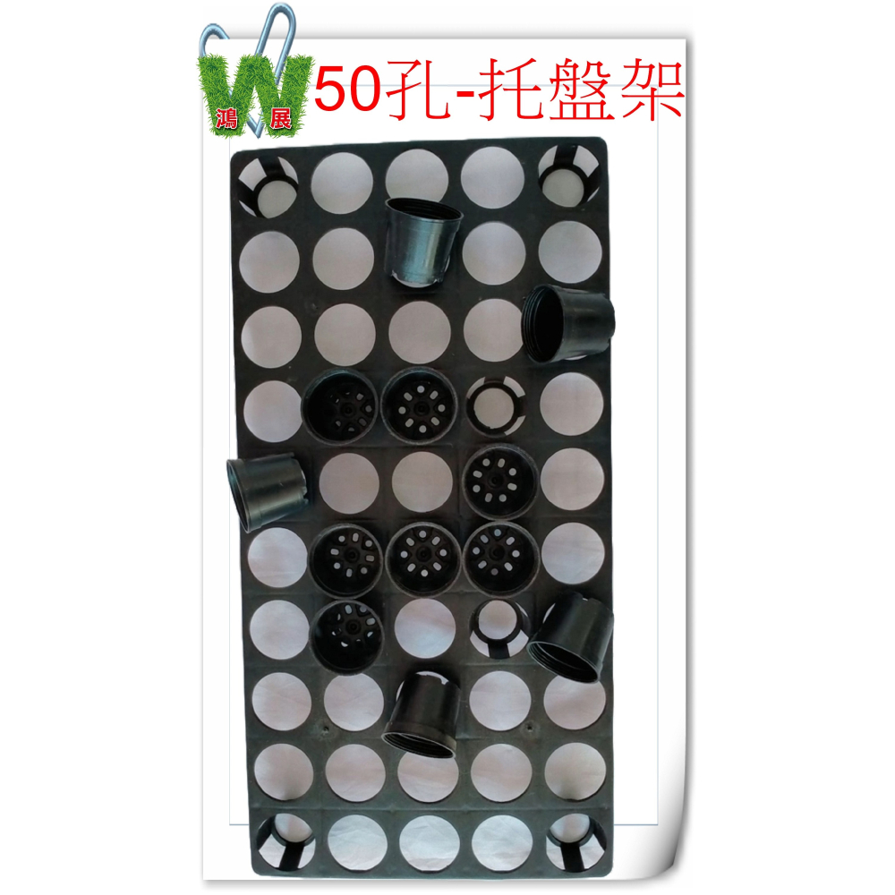 w711鴻展 多肉 圓盆 育苗 多種尺寸 小盆景 多肉育苗 種植 塑膠花盆 多肉種植 黑圓盆 白圓盆 托盤 托架 圓盆架-細節圖4