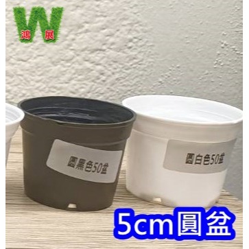 小盆栽-白色5cm圓盆