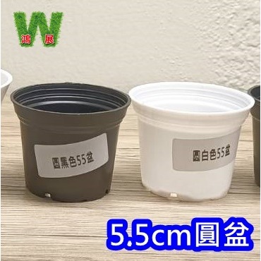 w711鴻展 多肉 圓盆 育苗 多種尺寸 小盆景 多肉育苗 種植 塑膠花盆 多肉種植 黑圓盆 白圓盆 托盤 托架 圓盆架-規格圖7