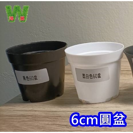 小盆栽-白色6cm圓盆