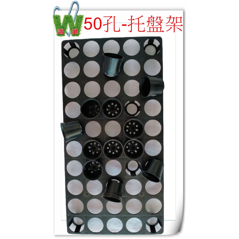 托盤架50格(不含盤栽)