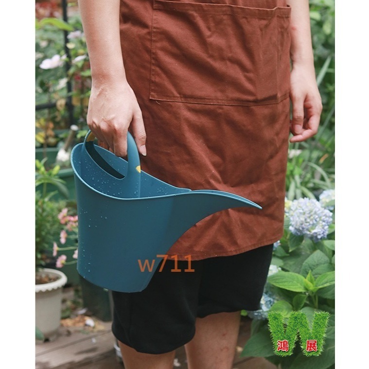 w711鴻展 歐風 尖嘴 多肉 澆花器 噴水壺 灑水壺 噴水瓶 澆花 澆水壺 澆花器 植物 花卉 盆栽-細節圖2