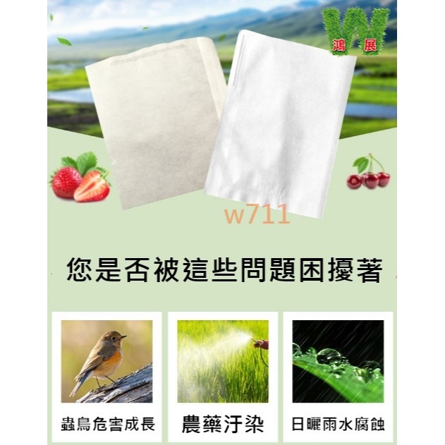 w711鴻展 重復使用 防蟲網 網袋 水果套袋 水果網袋 果蠅 防鳥網 芭樂套袋 防蟲網罩 水蜜桃套袋 草莓套袋 芒果套-細節圖3