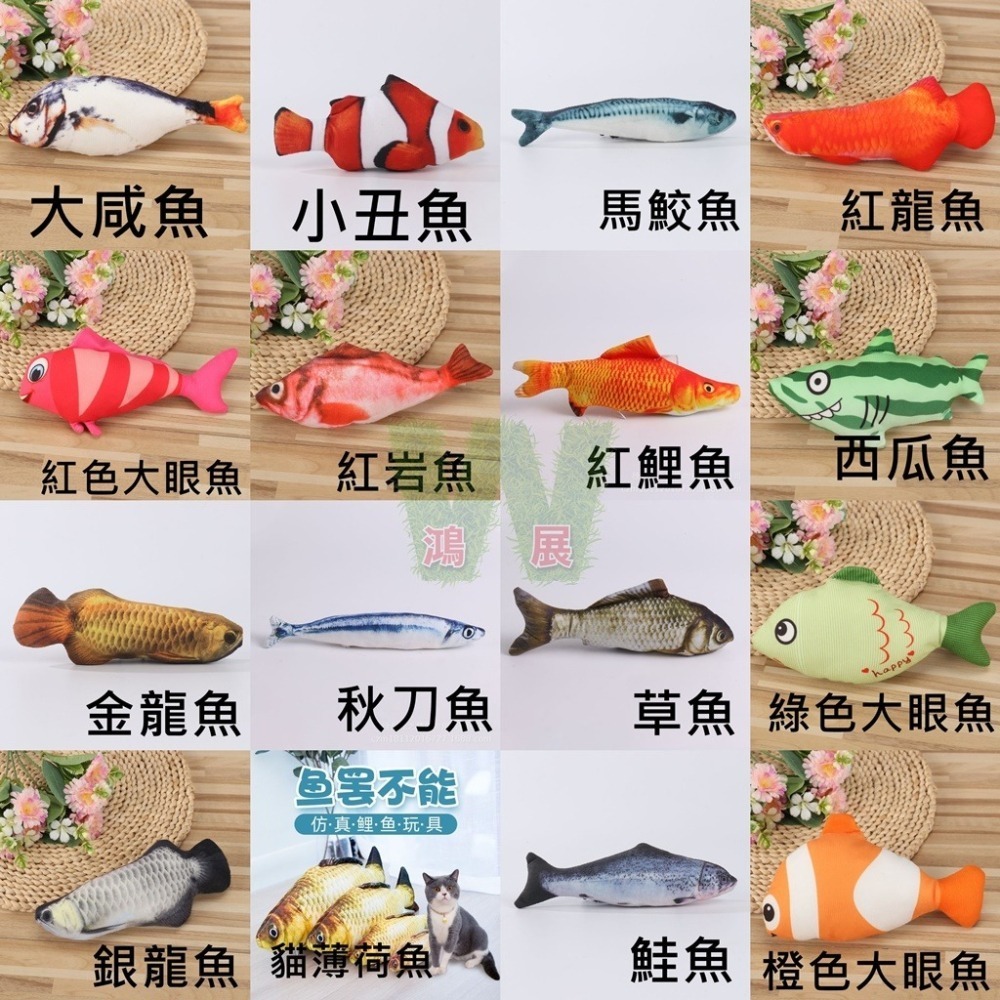 w711鴻展 貓草魚 貓草 貓玩具 貓魚造型抱枕 逗貓玩具 逗貓棒 磨牙幼貓 自嗨 解悶 公仔 布偶 小貓咪 寵物用品-細節圖8