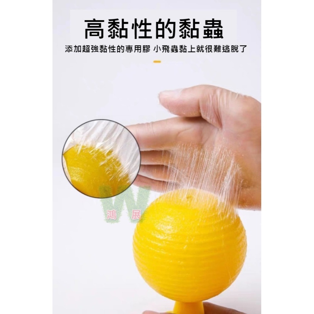 物理捕蠅 小果蠅 黏蠅球 果實蠅 飛蟲 百香果 殺果蠅 果蠅剋星 果蠅誘捕器 高黏性黏蟲球 果蠅黏蟲球 黏蟲板 小黑飛黏-細節圖3