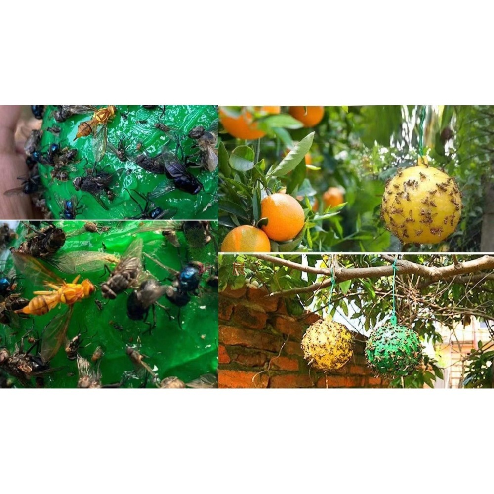 物理捕蠅 小果蠅 黏蠅球 果實蠅 飛蟲 百香果 殺果蠅 果蠅剋星 果蠅誘捕器 高黏性黏蟲球 果蠅黏蟲球 黏蟲板 小黑飛黏-細節圖5