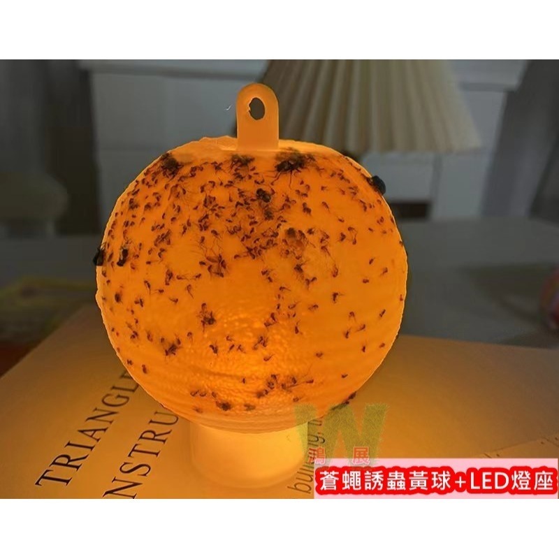 1蒼蠅誘蟲黃球+1個LED燈座