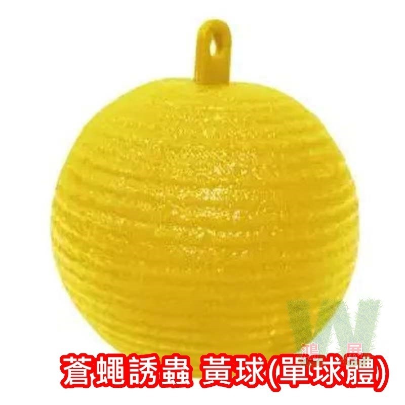 蒼蠅誘蟲 黃球(單球體)