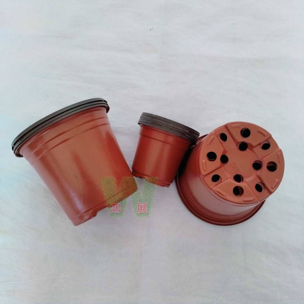 w711鴻展 薄款花盆 軟花盆 多肉 圓盆 育苗 多種尺寸 小盆景 多肉育苗 種植 塑膠花盆 多肉種植 黑圓盆 白圓盆-細節圖2