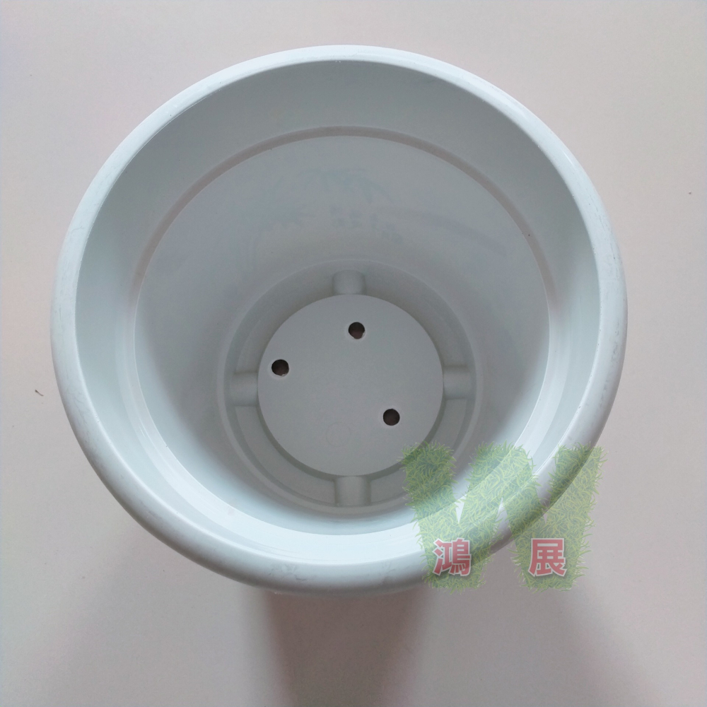 w711鴻展 花盆 多肉 圓盆 育苗 多種尺寸 小盆景 多肉育苗 種植 塑膠花盆 多肉種植 黑圓盆 白圓盆 托盤 托架-細節圖4