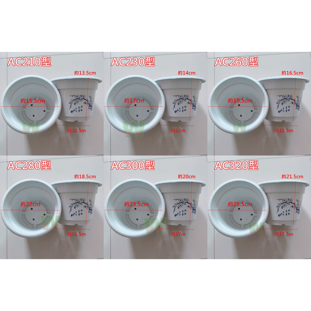 w711鴻展 花盆 多肉 圓盆 育苗 多種尺寸 小盆景 多肉育苗 種植 塑膠花盆 多肉種植 黑圓盆 白圓盆 托盤 托架-細節圖6