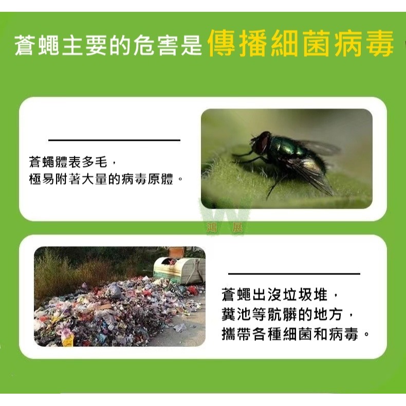 w711鴻展 雙面超黏捕蠅紙 捕蠅紙 誘蠅紙 捕蠅板 捕蠅器 黏蟲板 雙面黏蟲板 茶園 菜園 大棚果園 溫室 園藝 捕蟲-細節圖2